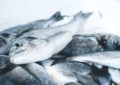 ¿Es rico en ácidos grasos omega-3 el pescado que consumimos en Chile?