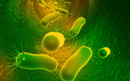 Núcleo Milenio Biología de la Microbiota: Estudia cómo un grupo relevante de bacterias intestinales asociadas a salud, se adquieren, persisten y se transmiten entre humanos